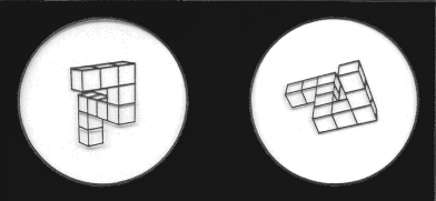 Example of target object (left) and rotated version of it (right). Source: https://plato.stanford.edu/entries/mental-imagery/mental-rotation.html