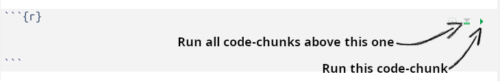 Running code chunks